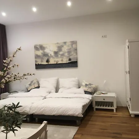 Lägenhet City-apartment Ohligs *